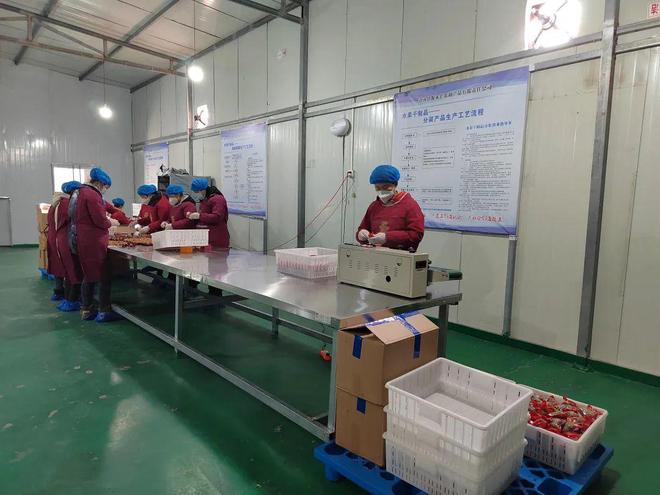 洛南县石门镇生产的“枣夹核桃”成为俏销年货